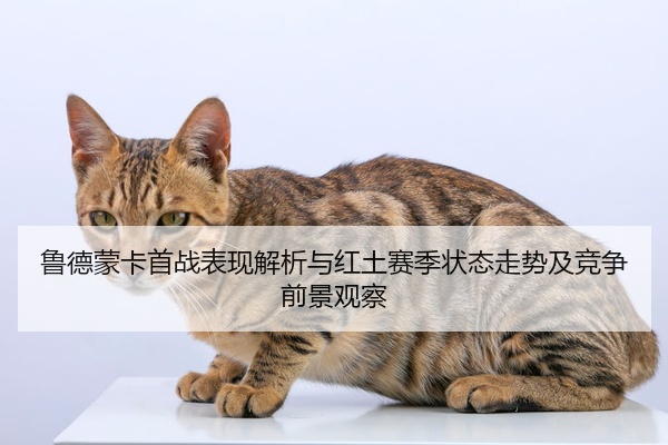 鲁德蒙卡首战表现解析与红土赛季状态走势及竞争前景观察